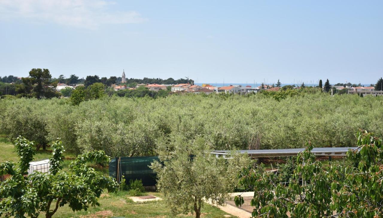 Apartmani Diana Novigrad Istria Eksteriør bilde