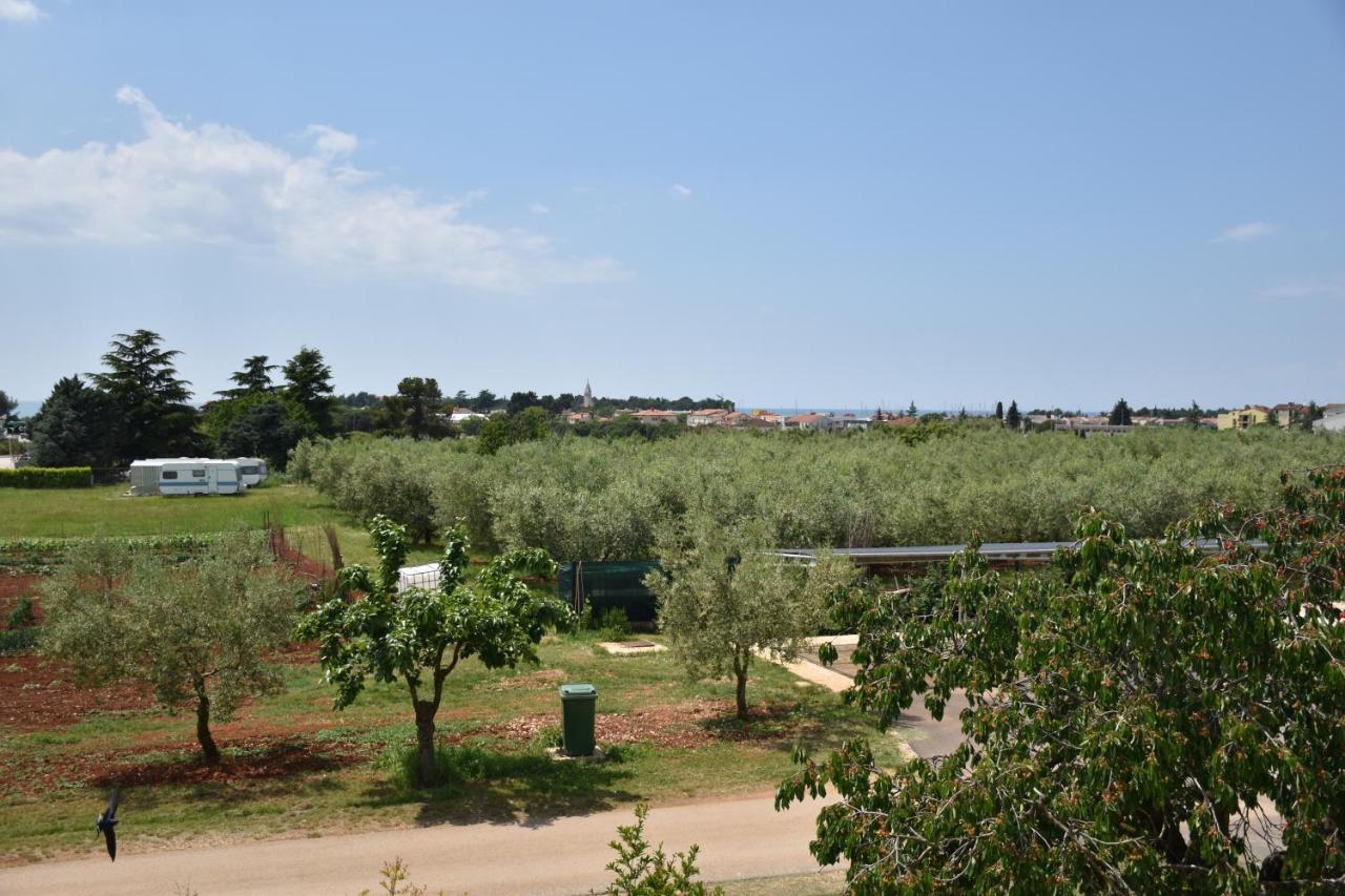 Apartmani Diana Novigrad Istria Eksteriør bilde